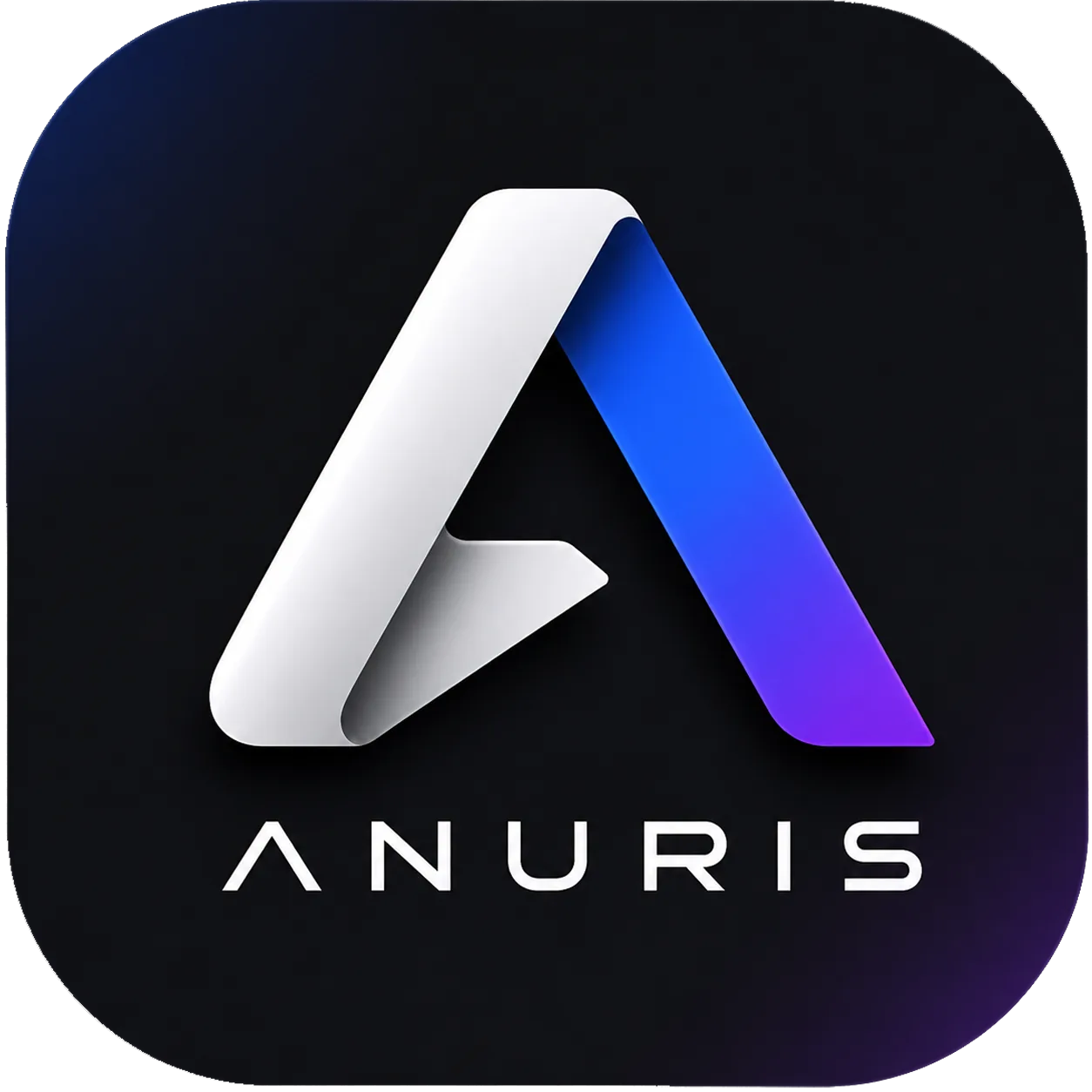 ANURIS, software propio de Lianur Systems