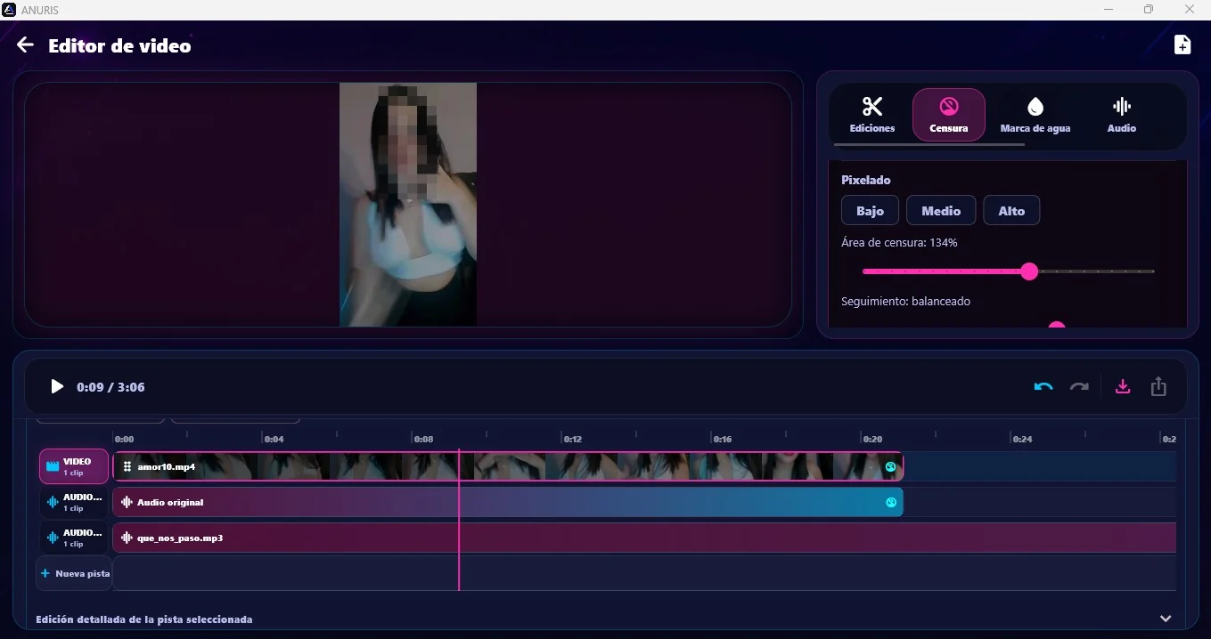 Editor de video de ANURIS para Windows con timeline multipista, censura facial y audio